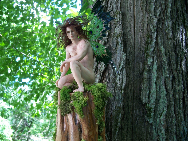 Illustration for article titled Boy Faeries